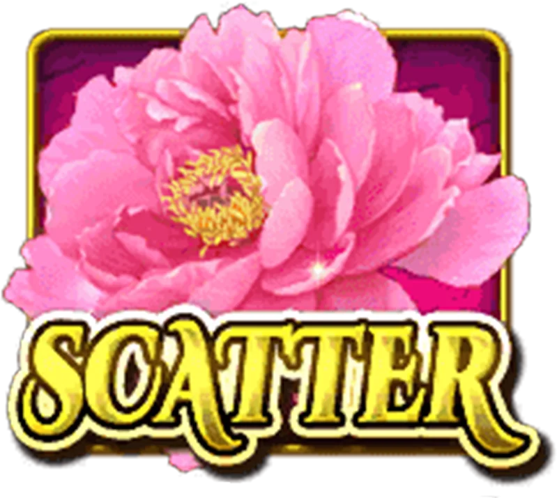 Scatter