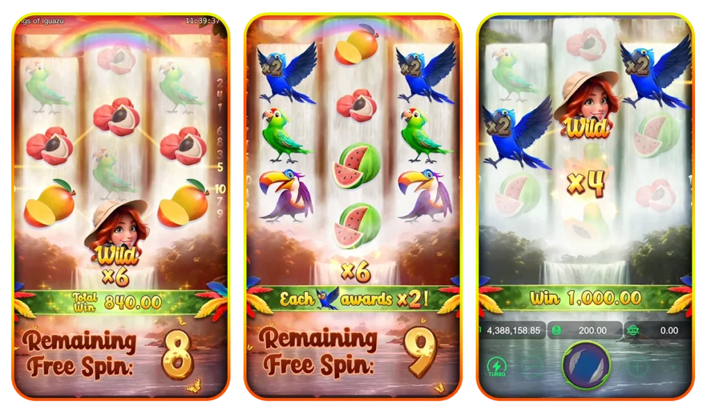 รูปแบบลักษณะของตัวเกม Wings of lguazu